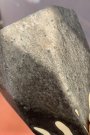 EBONY ARTİSTİK SIR 300ML